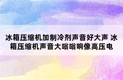 冰箱压缩机加制冷剂声音好大声 冰箱压缩机声音大嗡嗡响像高压电